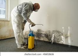 Carey, OH Mold Remediation Company